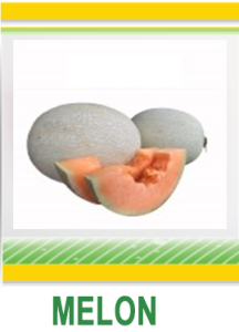 MELON