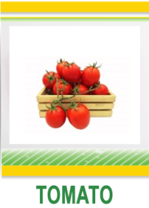 TOMATO