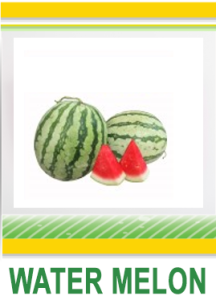 WATERMELON