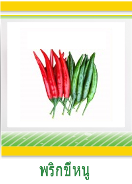 พริกขี้หนู