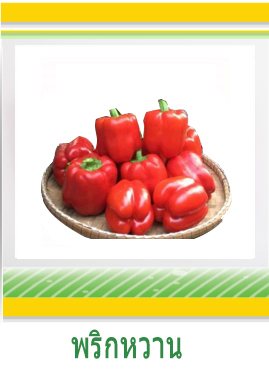 พริกหวาน