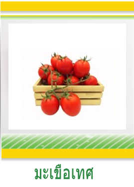 มะเขือเทศ